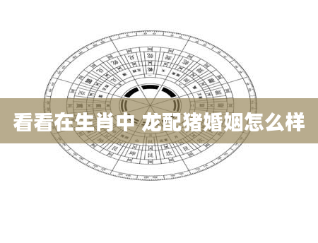 看看在生肖中 龙配猪婚姻怎么样