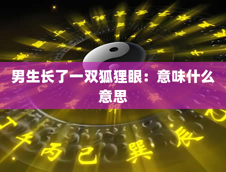 男生长了一双狐狸眼:意味什么意思