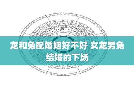 龙和兔配婚姻好不好 女龙男兔结婚的下场