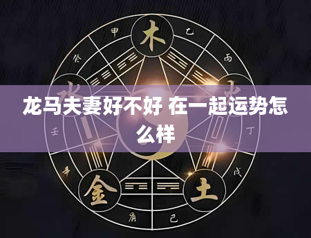 龙马夫妻好不好 在一起运势怎么样