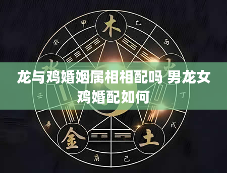 龙与鸡婚姻属相相配吗 男龙女鸡婚配如何
