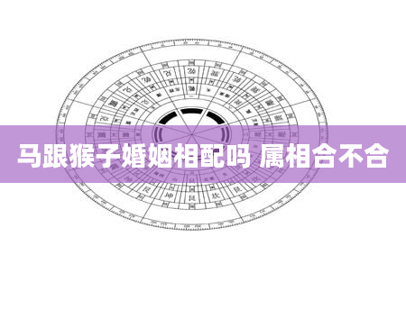 马跟猴子婚姻相配吗 属相合不合