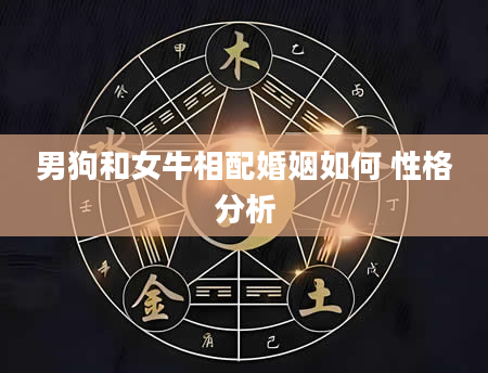 男狗和女牛相配婚姻如何 性格分析