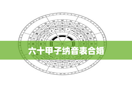 六十甲子纳音表合婚