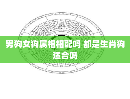 男狗女狗属相相配吗 都是生肖狗适合吗