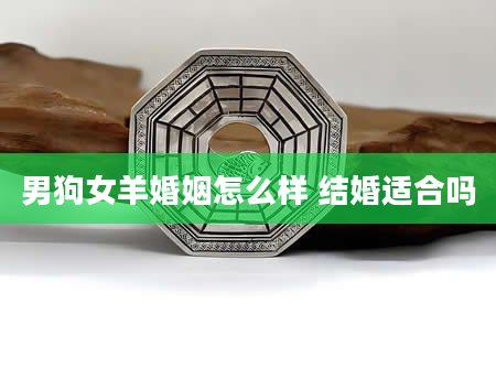 男狗女羊婚姻怎么样 结婚适合吗