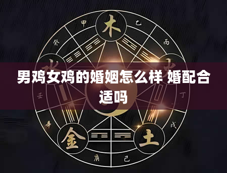 男鸡女鸡的婚姻怎么样 婚配合适吗
