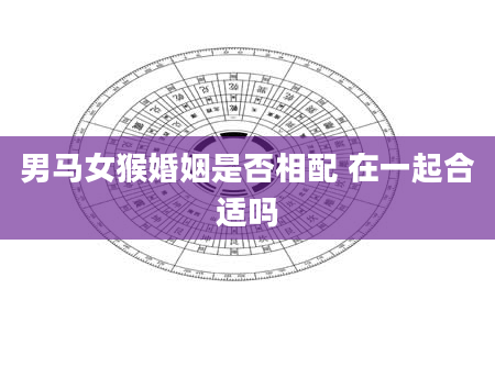 男马女猴婚姻是否相配 在一起合适吗