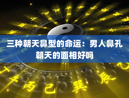 三种朝天鼻型的命运:男人鼻孔朝天的面相好吗