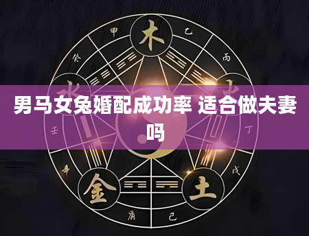 男马女兔婚配成功率 适合做夫妻吗