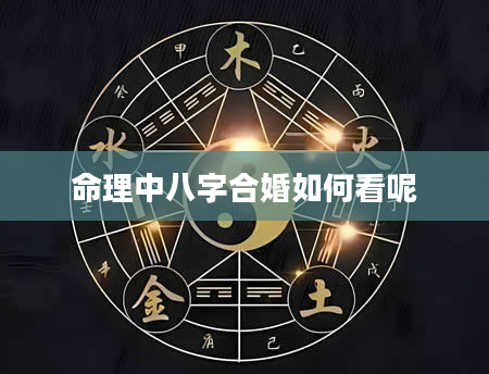 命理中八字合婚如何看呢