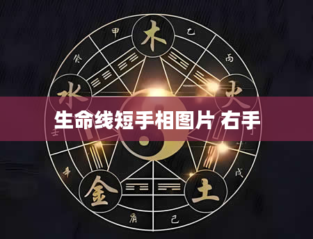 生命线短手相图片 右手