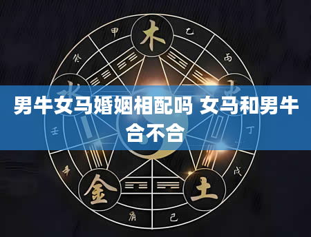 男牛女马婚姻相配吗 女马和男牛合不合
