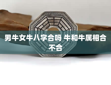 男牛女牛八字合吗 牛和牛属相合不合
