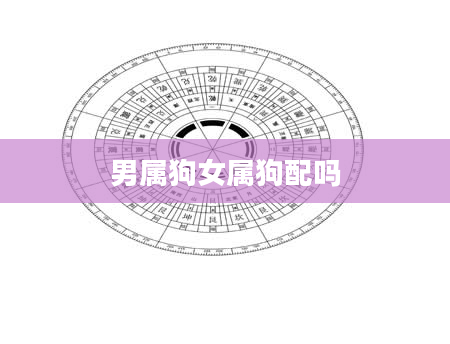 男属狗女属狗配吗