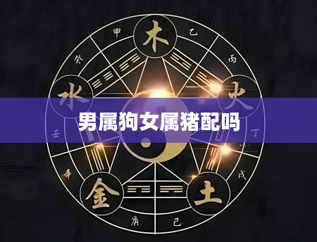 男属狗女属猪配吗