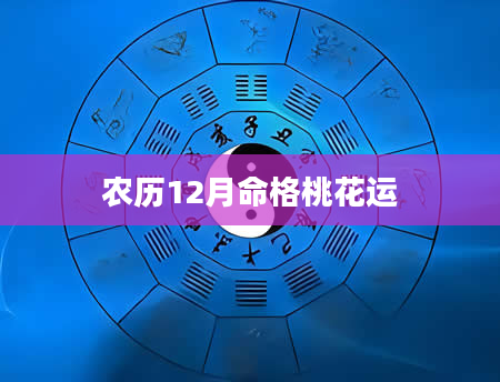 农历12月命格桃花运