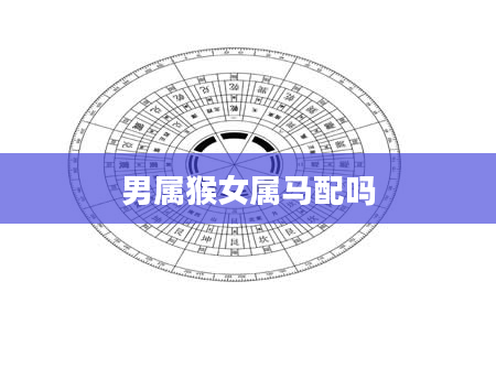 男属猴女属马配吗