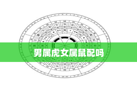 男属虎女属鼠配吗