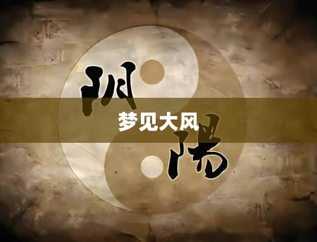 梦见大风
