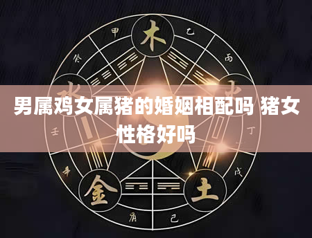 男属鸡女属猪的婚姻相配吗 猪女性格好吗