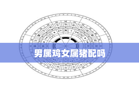 男属鸡女属猪配吗