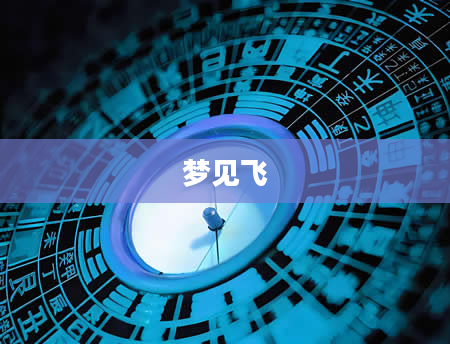 梦见飞