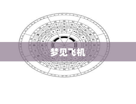 梦见飞机