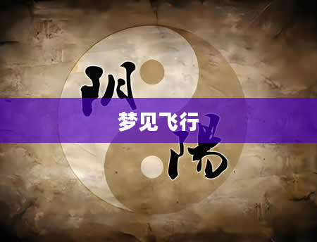 梦见飞行