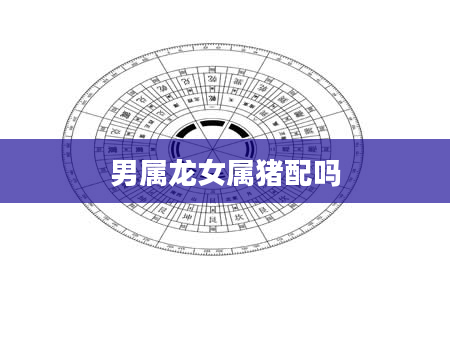 男属龙女属猪配吗