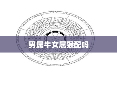 男属牛女属猴配吗