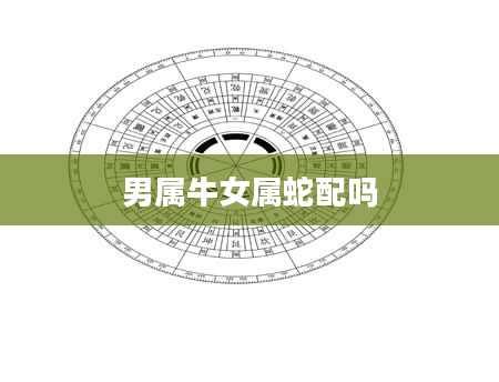 男属牛女属蛇配吗