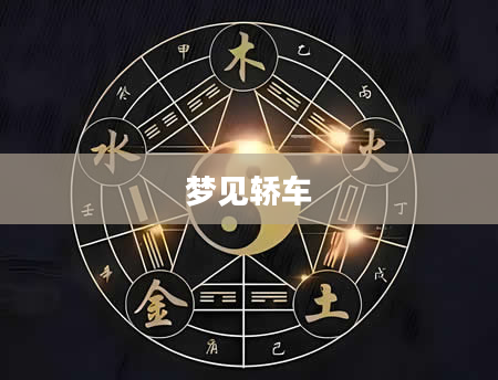 梦见轿车
