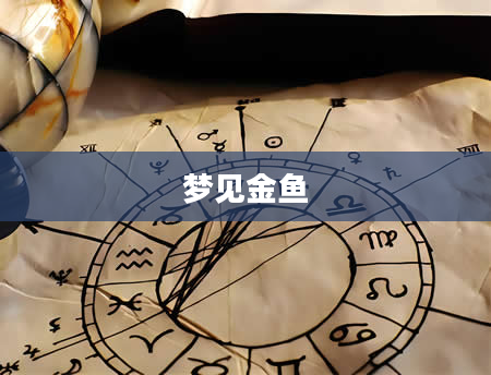 梦见金鱼