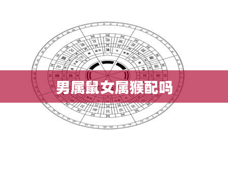 男属鼠女属猴配吗