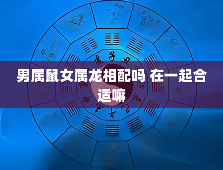 男属鼠女属龙相配吗 在一起合适嘛