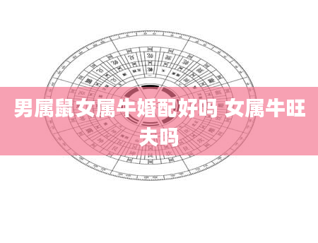 男属鼠女属牛婚配好吗 女属牛旺夫吗