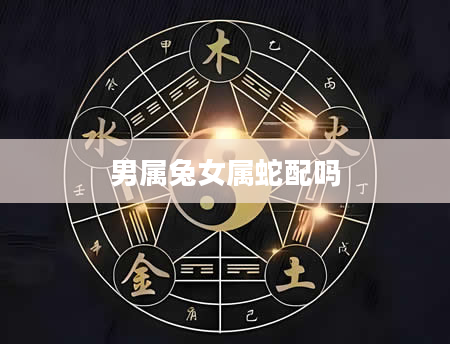 男属兔女属蛇配吗