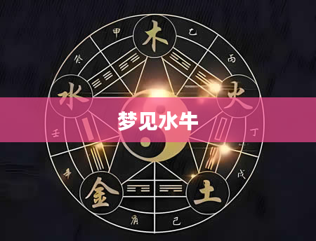 梦见水牛