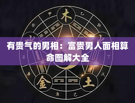 有贵气的男相:富贵男人面相算命图解大全