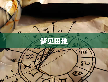 梦见田地