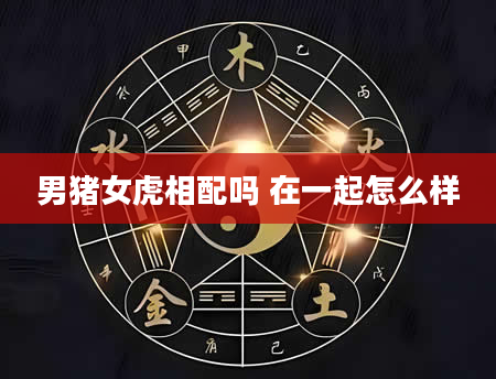 男猪女虎相配吗 在一起怎么样