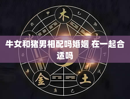 牛女和猪男相配吗婚姻 在一起合适吗