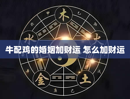 牛配鸡的婚姻加财运 怎么加财运