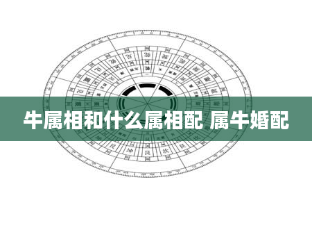 牛属相和什么属相配 属牛婚配