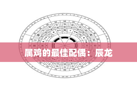 属鸡的最佳配偶:辰龙