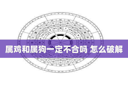 属鸡和属狗一定不合吗 怎么破解