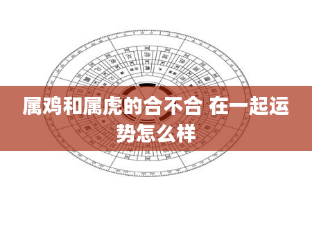 属鸡和属虎的合不合 在一起运势怎么样