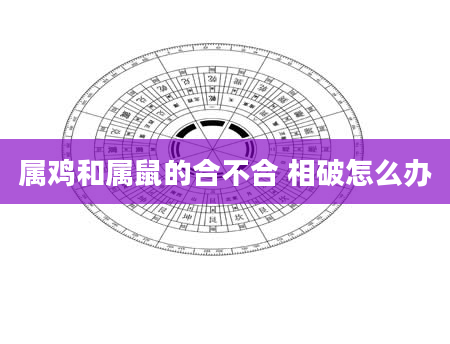 属鸡和属鼠的合不合 相破怎么办