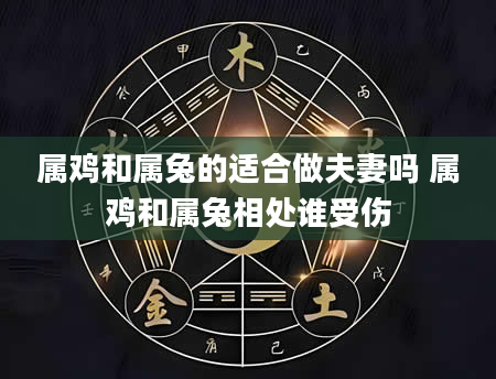 属鸡和属兔的适合做夫妻吗 属鸡和属兔相处谁受伤